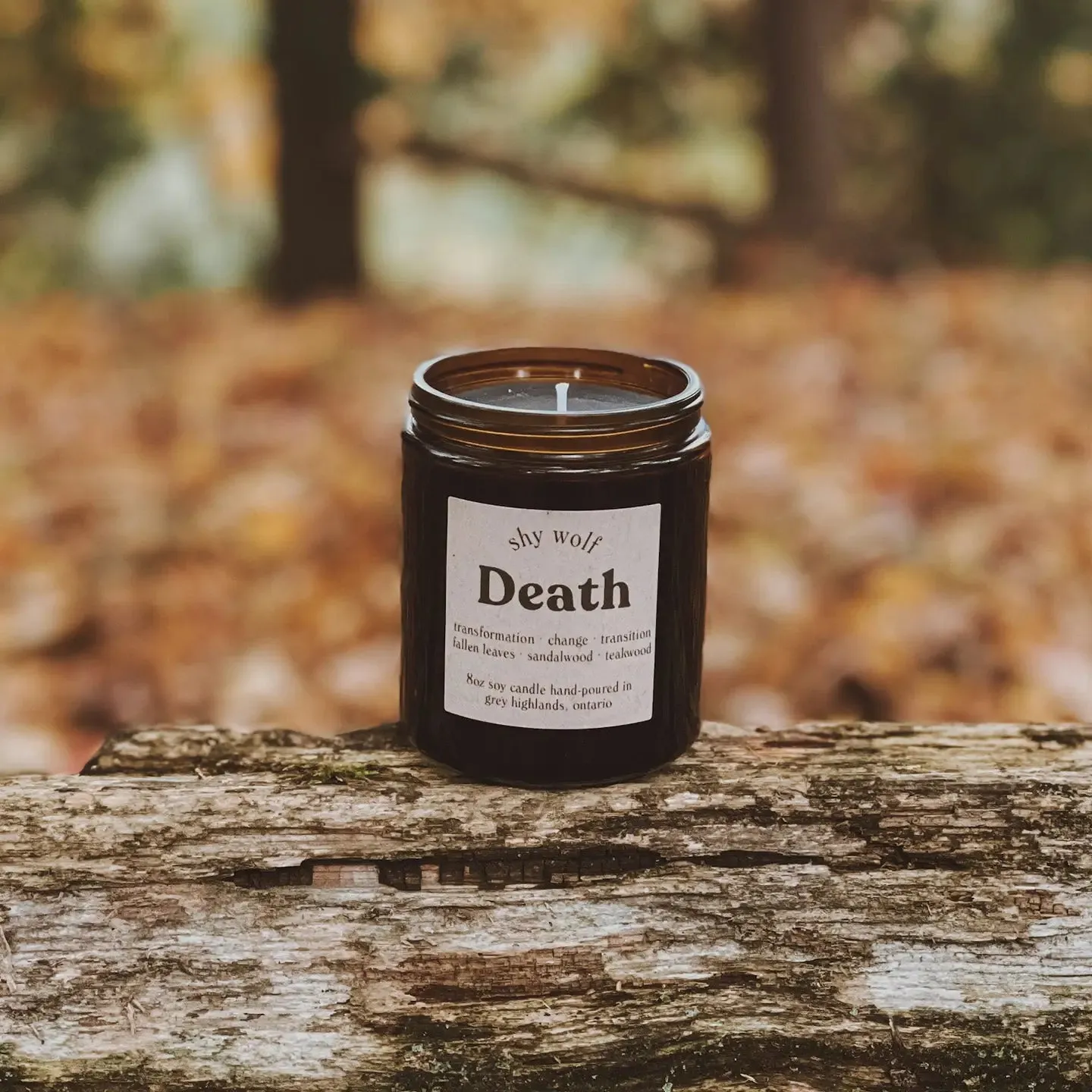 Death Candle by Shy Wolf