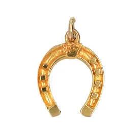 Horse Shoe Charm