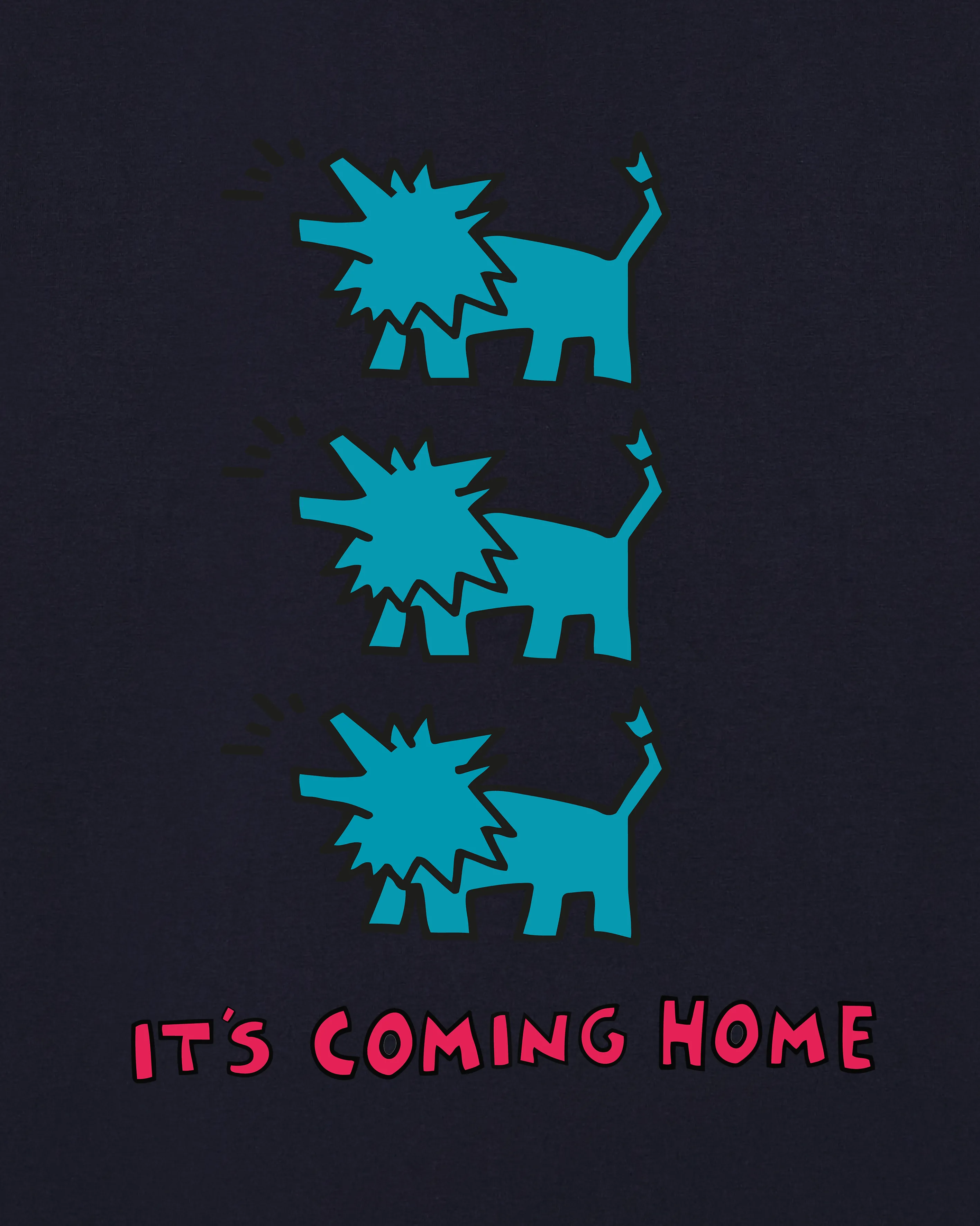 It's Coming Home Tee