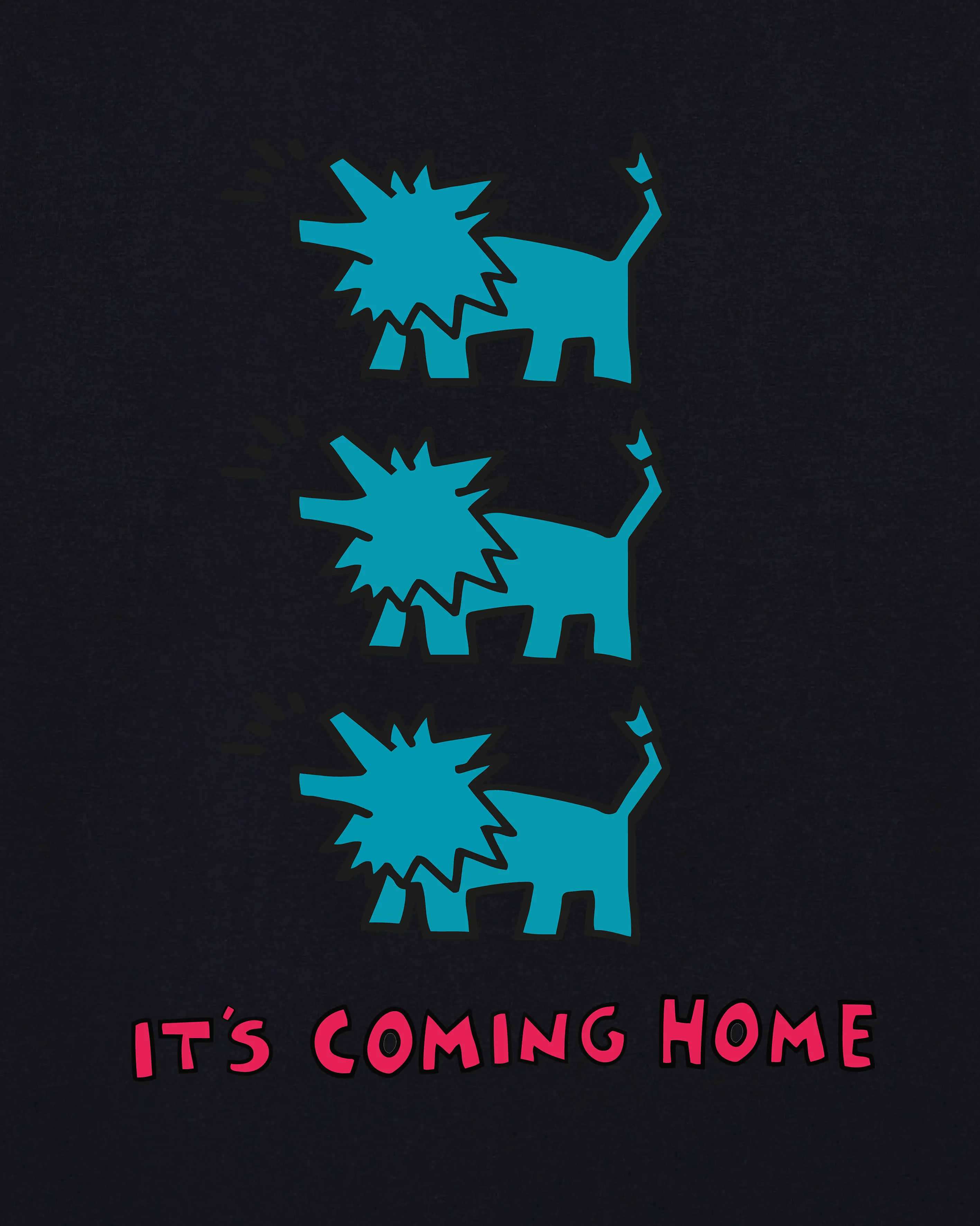 It's Coming Home Tee