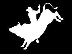 "Bull Rider 3" High Performance Vinyl Decal